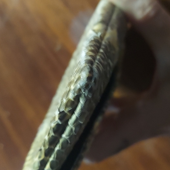 Saks Fifth Avenue wallet pouch - Picture 6 of 6